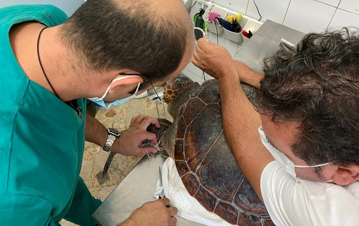 Intrappolata nella plastica