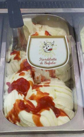 Gelato gourmet mozzarella di bufala Gelato gourmet mozzarella di bufala