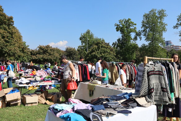 timeless.jpeg