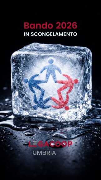 whatsapp image 2026-01-19 at 10.28.30.jpeg