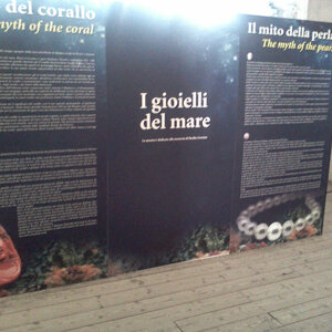 fai-2012-2.jpeg