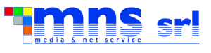 logo-mns-300px-srl.png