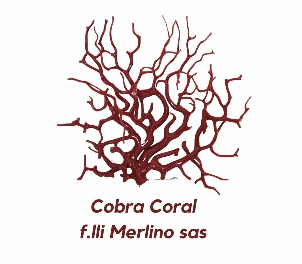 Cobra Coral F.lli Merlino s.a.s. Cobra Coral F.lli Merlino s.a.s.