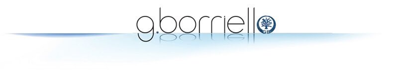G.Borriello G.Borriello