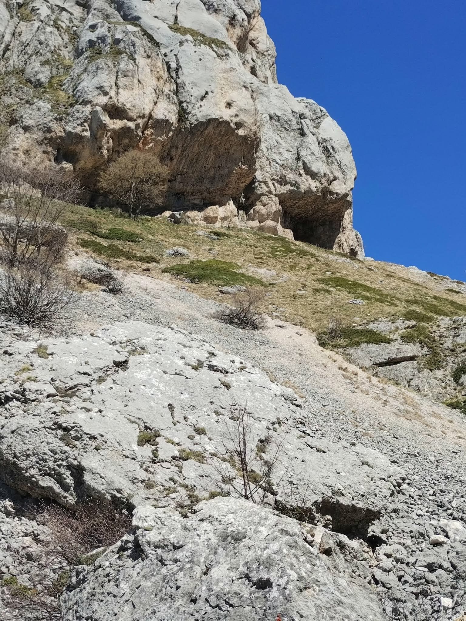 679152454_1396653195810293_475645360641260643_n.jpeg