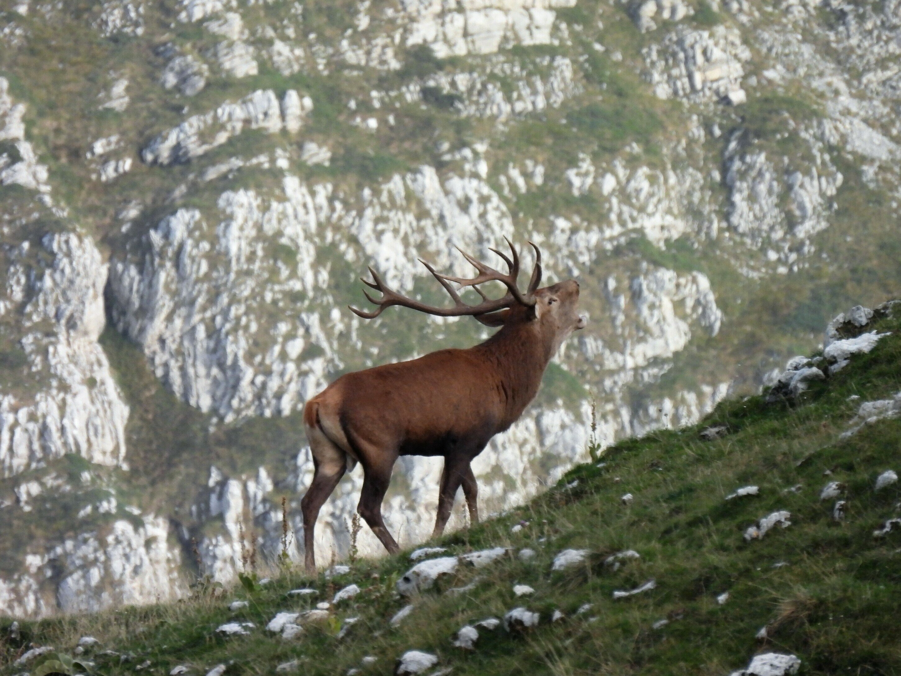 I Trekking di settembre 2025