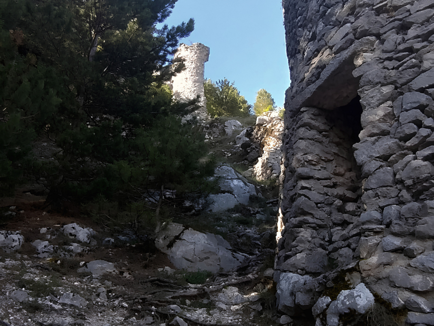 castel mancino