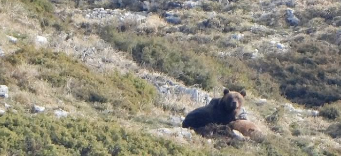 I bei momenti di inizio primavera