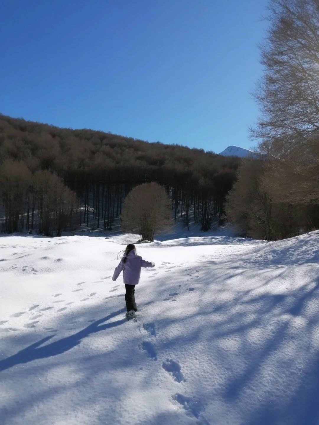 Che bello rallentare sulla neve Che bello rallentare sulla neve