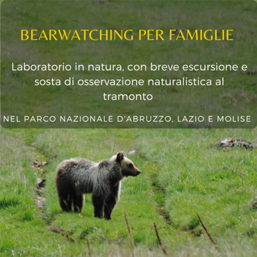 ciaspolata fiaccole (7)