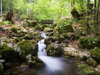 La Sorgente Jannaghera dal Lago di Barrea