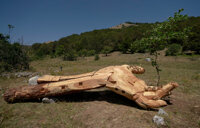 ArteParco e il Bosco Centenario della Difesa di Pescasseroli