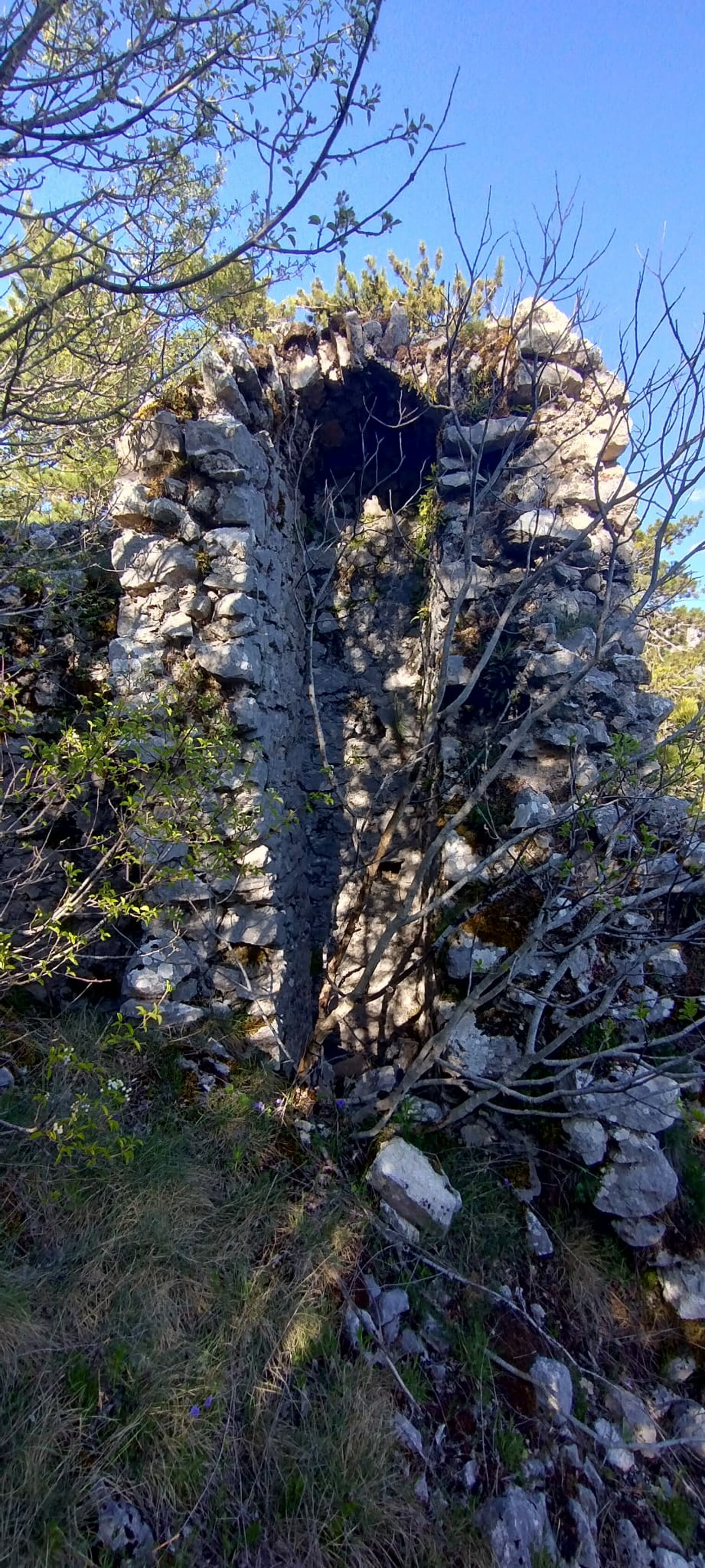 pescasseroli
