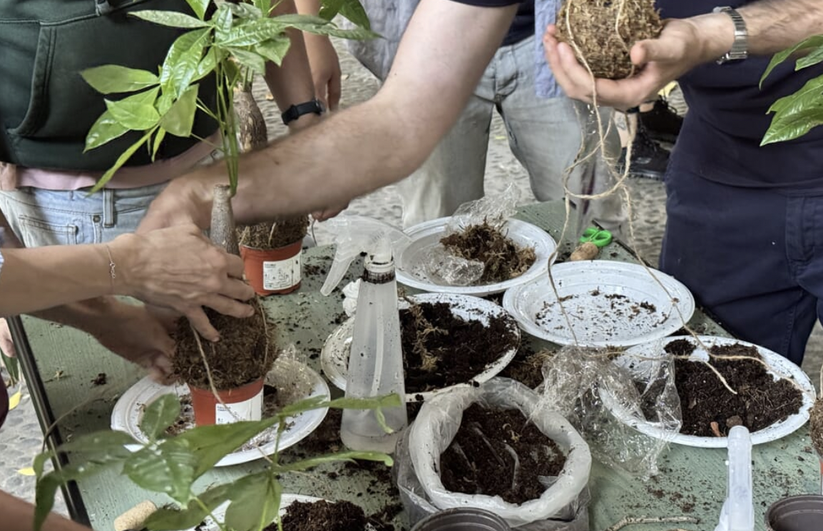 Oggi all’Orto Botanico di Catania il workshop dedicato al kokedama