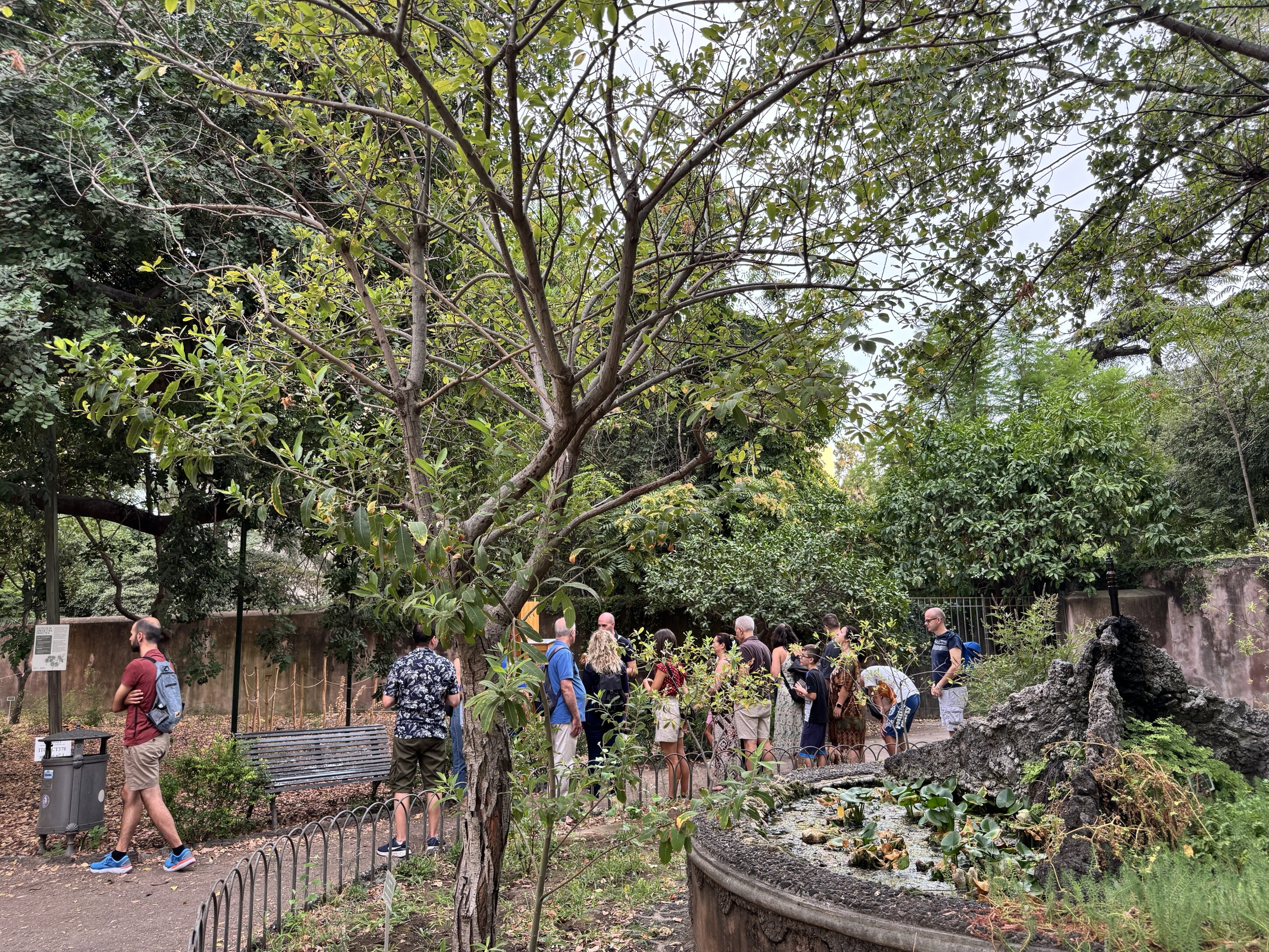 Catania, settembre al tramonto: visite guidate all&rsquo;Orto Botanico con &ldquo;Verde d&rsquo;estate&rdquo;