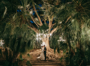 Bride and groom kissing under illuminated tree at luxury Sicily wedding destination.