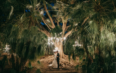 Luxury destination wedding in Sicily under lit tree