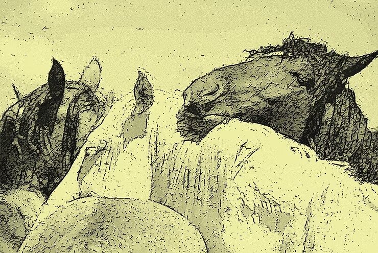 IL RISCATTO DEGLI ASINI