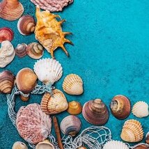 MANOSCRITTI - ARIMOROSSO