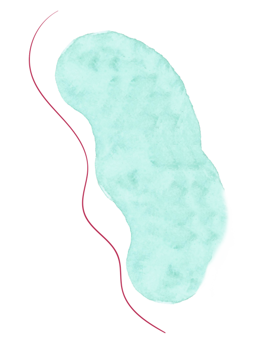 mamimondo