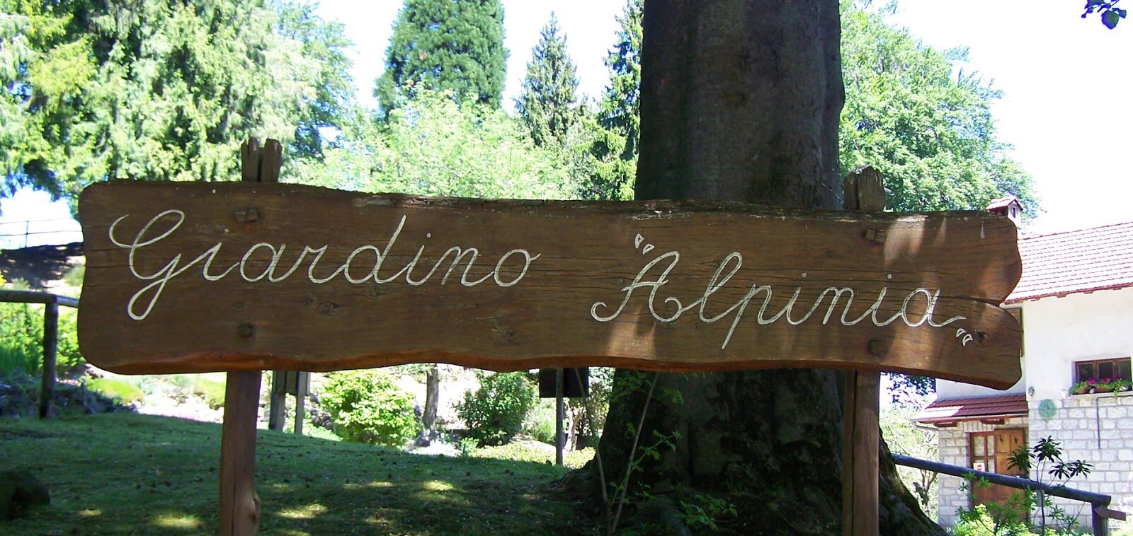 giardino-alpinia.jpeg Giardino Botanico di Alpinia - Stresa