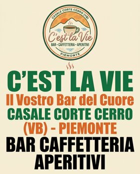 locandina bar c est la vie.jpeg