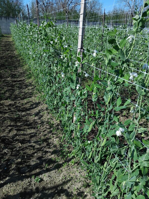 immagine whatsapp 2025-06-21 ore 08.48.00_f5e6ee62.jpeg