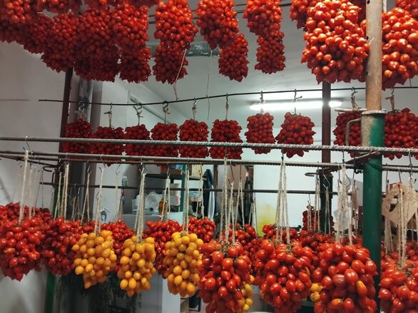 immagine whatsapp 2025-06-21 ore 08.48.03_c6ad9367.jpeg