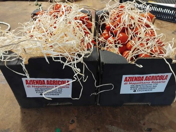 immagine whatsapp 2025-06-21 ore 08.48.00_5eed75ca.jpeg