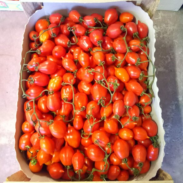 immagine whatsapp 2025-06-21 ore 08.47.51_68050388.jpeg