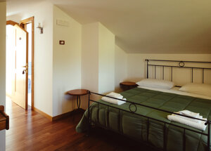 d53a5202.jpeg d53a5202.jpeg