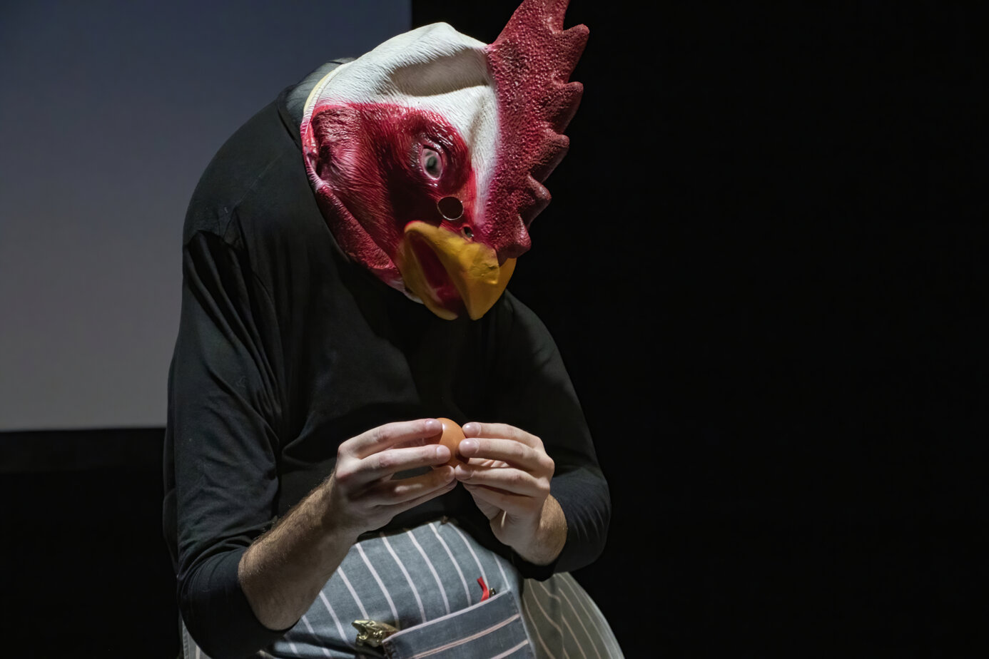 1 - copertina.jpeg 1 - copertina.jpeg