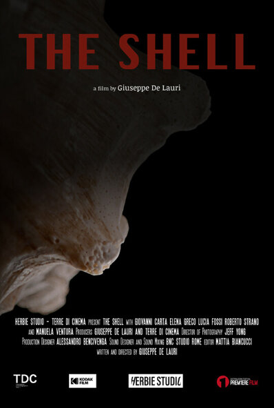 the shell.jpeg the shell.jpeg