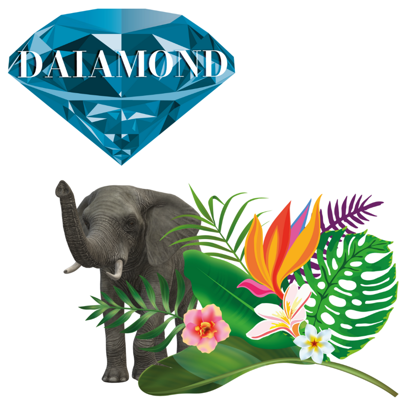 pacchetto-diamond-posizionamento-seo