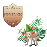 pacchetto-broze-indicizzazione-seo