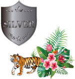 indicizzazione-seo-pacchetto-seo