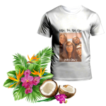 realizzazione-di-una-stampa-di-una-maglietta