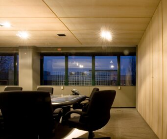 Suspended ceiling panels in aluminum honeycomb covered with wood veneer