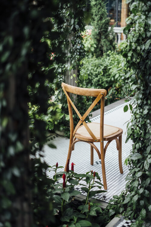 back-chair-garden.jpeg