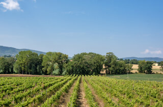 esperienze-uniche.jpeg esperienze-uniche.jpeg