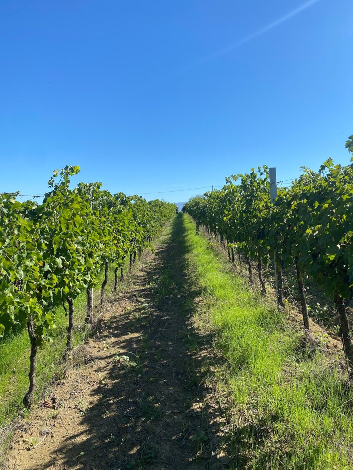 291853_1e2f8699ed961b9814317016da83b7c2324a613b