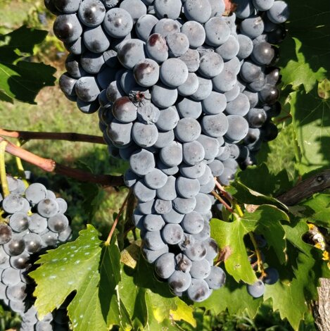 291853_efce0d14b3be1a6363bfb478498d4ac84cfbd111