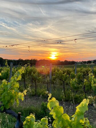 291853_345abca38a9dc6c5da9b4c3a708172dd4bf3ba0c