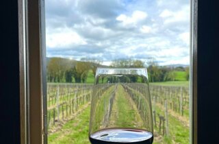 feste-in-cantina%20(2).jpeg feste-in-cantina%20(2).jpeg