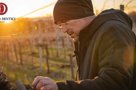 eraldo-dentici-cantina.jpeg