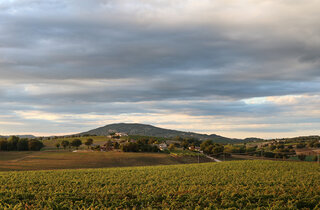 casale_rialto_camera_coccorone_3.jpeg casale_rialto_camera_coccorone_3.jpeg