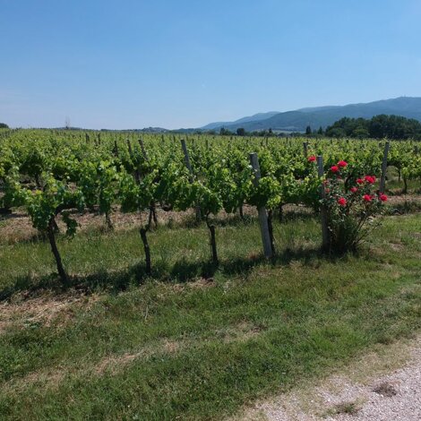 291853_e07720ba2520e0ef9af4be1ae7ad81f3dd009446