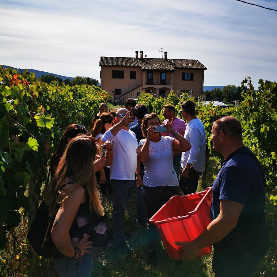 feste-in-cantina (1) - copia.jpeg