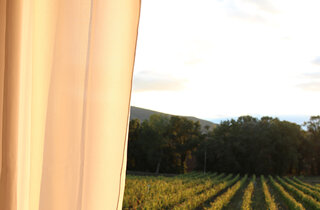 cantina%20(1).jpeg cantina%20(1).jpeg