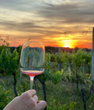 291853_1fa47dc7d49d449b2a1a3277354d3a72732b6ec5